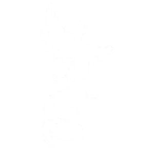 strassiran logo large